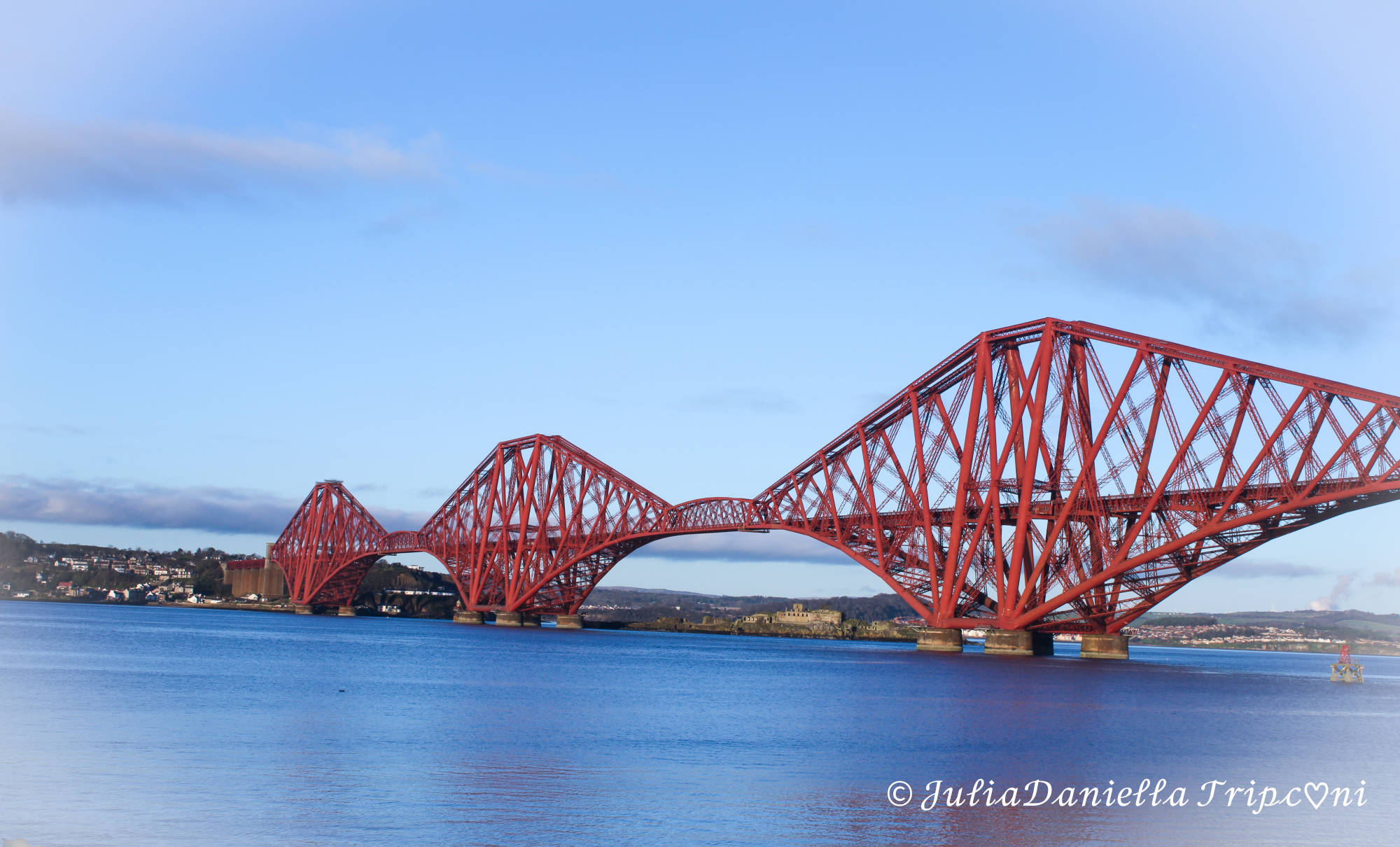 JuliaDaniellaTripconi