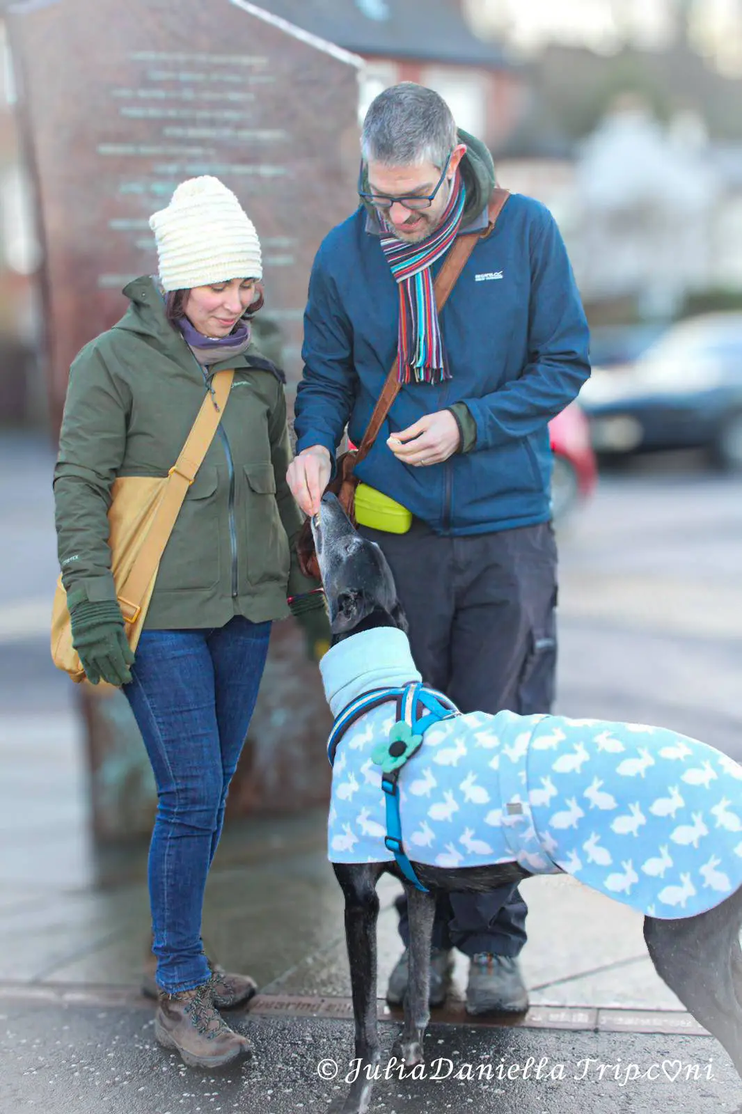 JuliaDaniellaTripconi